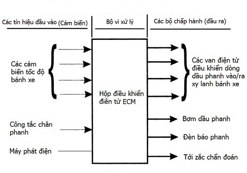 Hiểu đúng về hệ thống bó phanh ABS trên ô tô Hyundai 